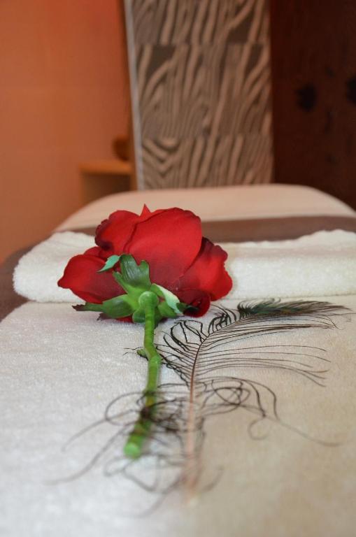 Zen Your Life Groot Bijgaarden Room photo